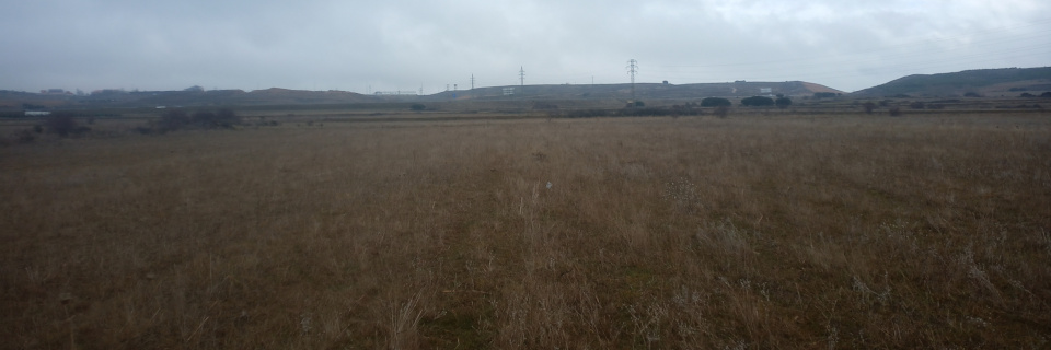 Terrenos prospectado en el sur de la actual ciudad de León